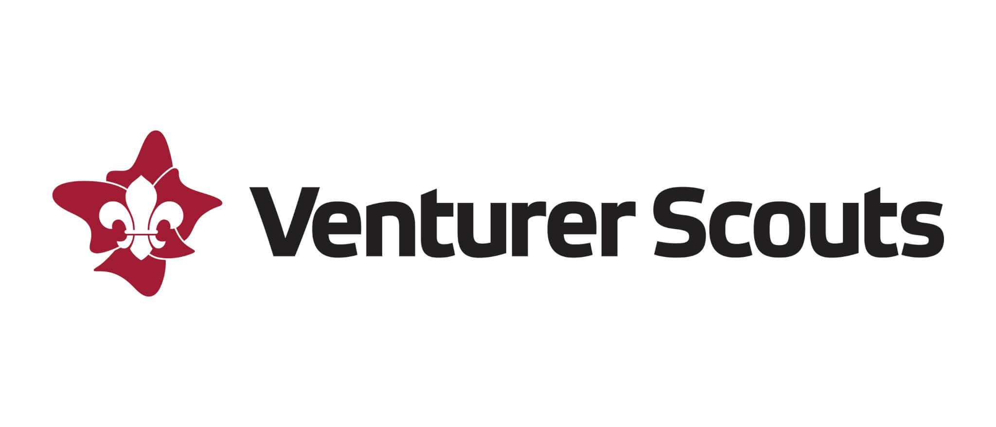 Venturer Scouts Logo